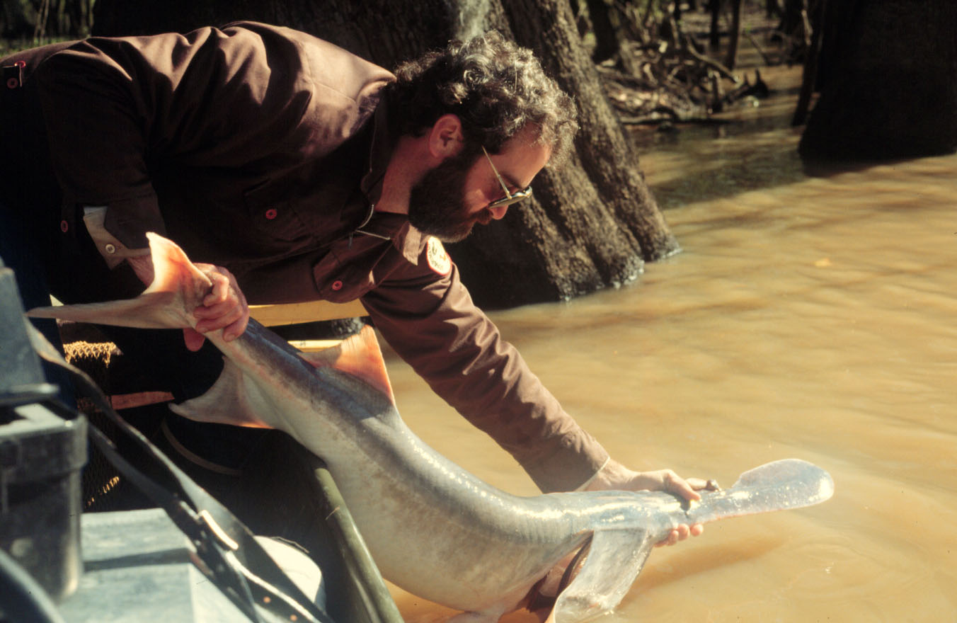 MICRA Man releasing fish